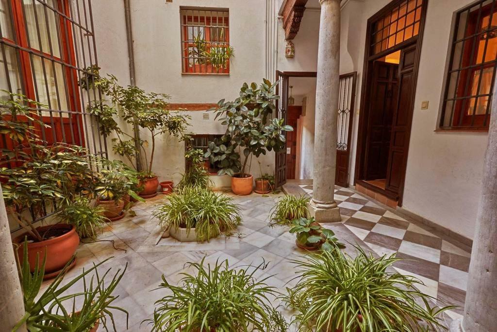Apartament Spacious Sunny And Quiet Albayzin
